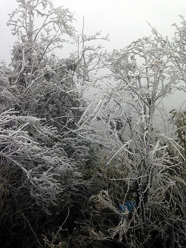 Mau son mountain witnesses 2 degrees celsius amid first cold spell hitting the northern region of vietnam
